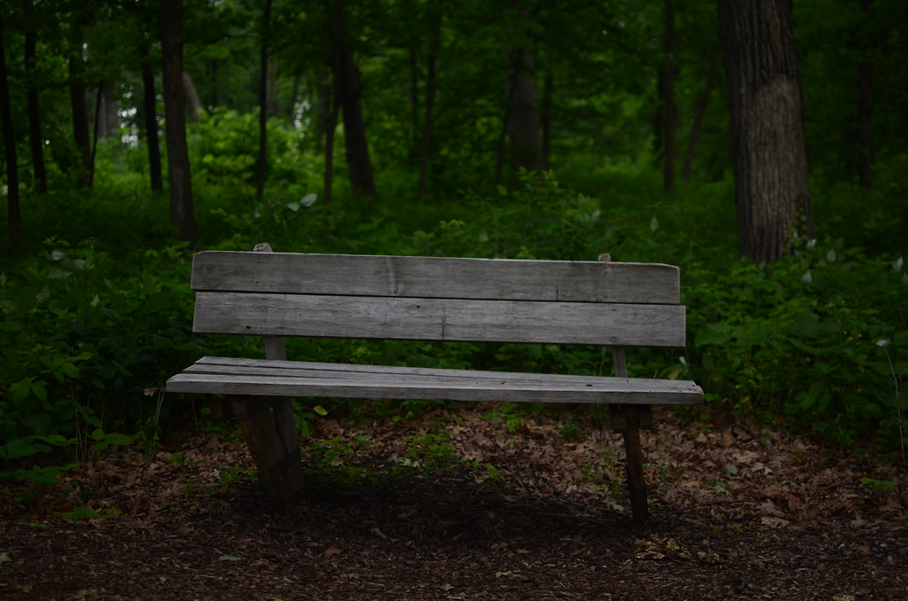 Morton Arboretum 116