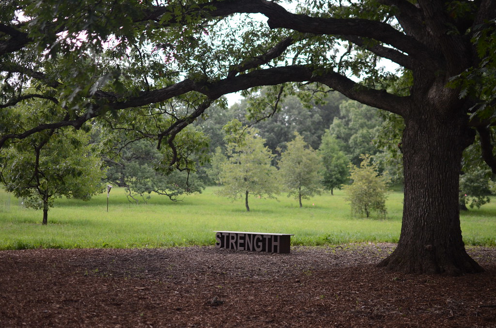 Morton Arboretum 050