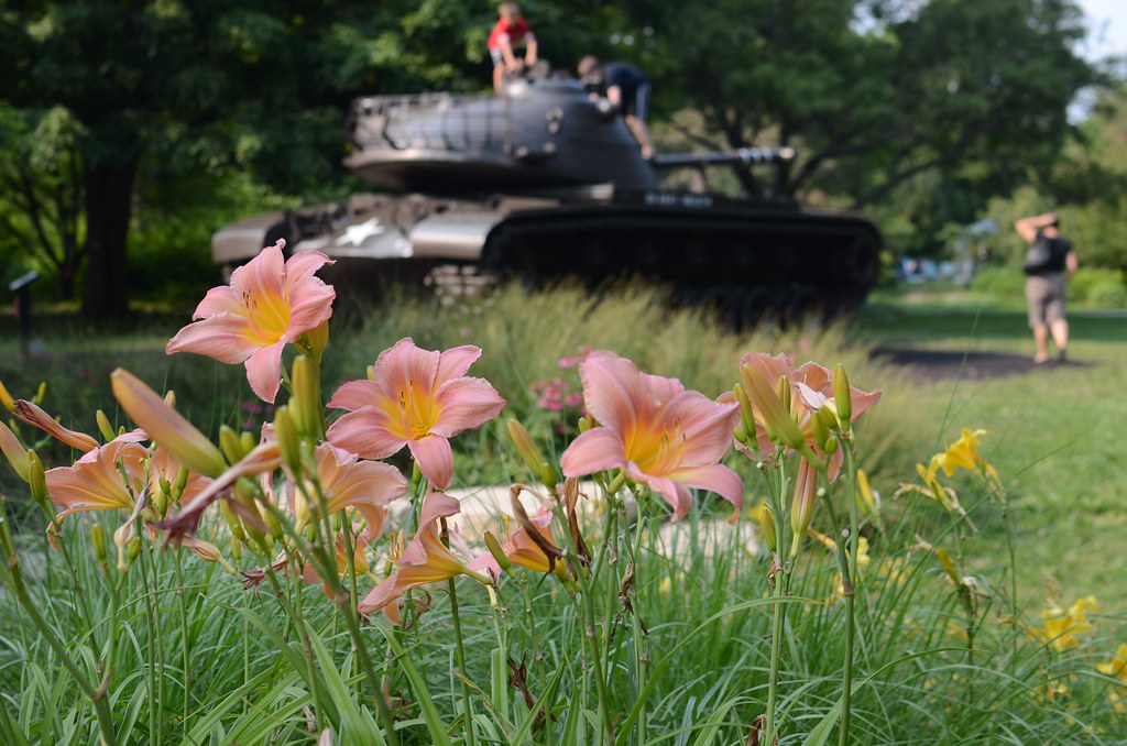 Cantigny 371