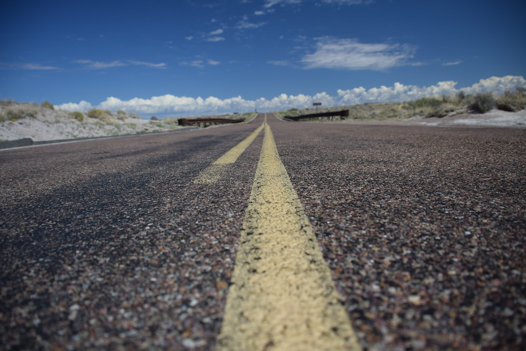 Arizona Petrified Forest 303