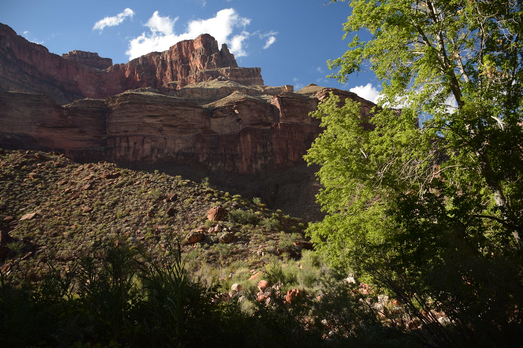 Grand Canyon Hike 334