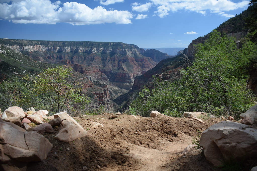 Grand Canyon North Rim 259