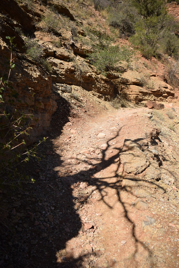 Grand Canyon North Rim 148