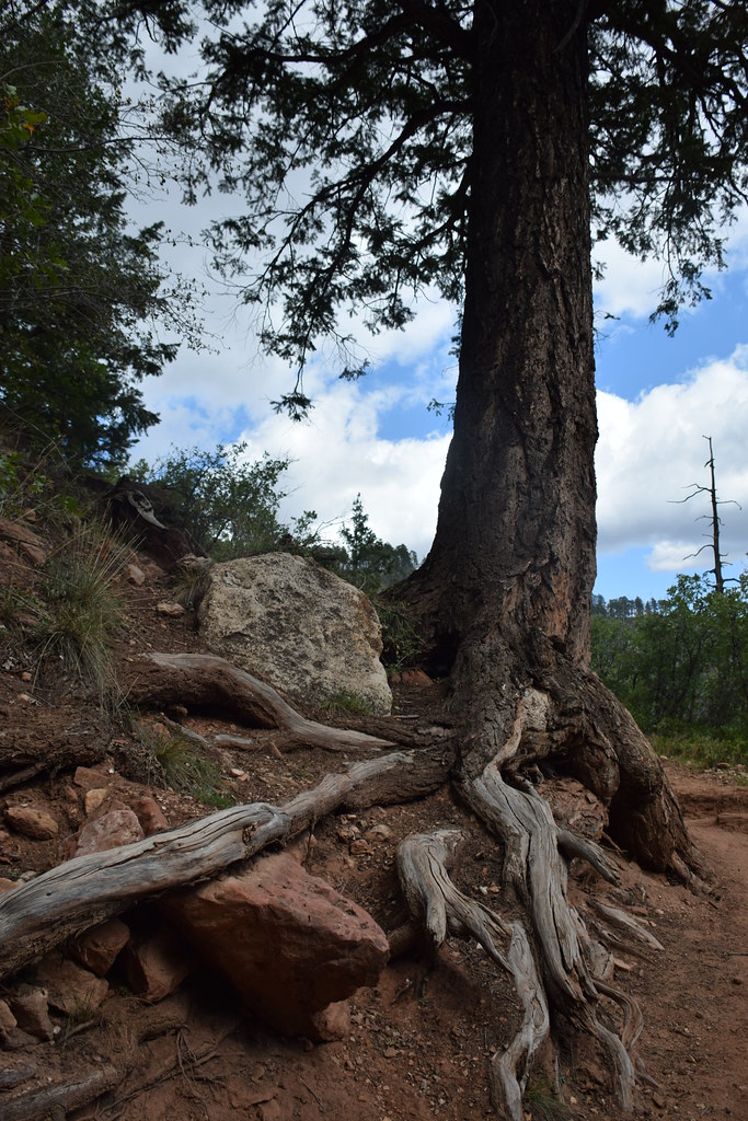 Grand Canyon North Rim 269