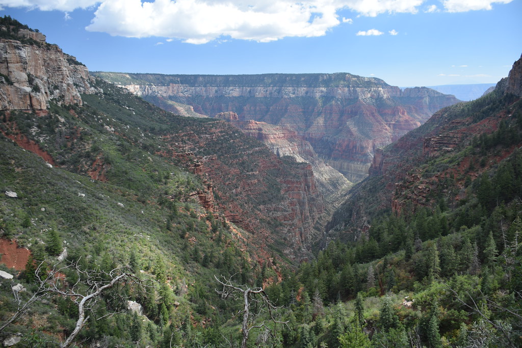 Grand Canyon North Rim 255