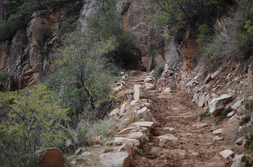 Grand Canyon North Rim 054