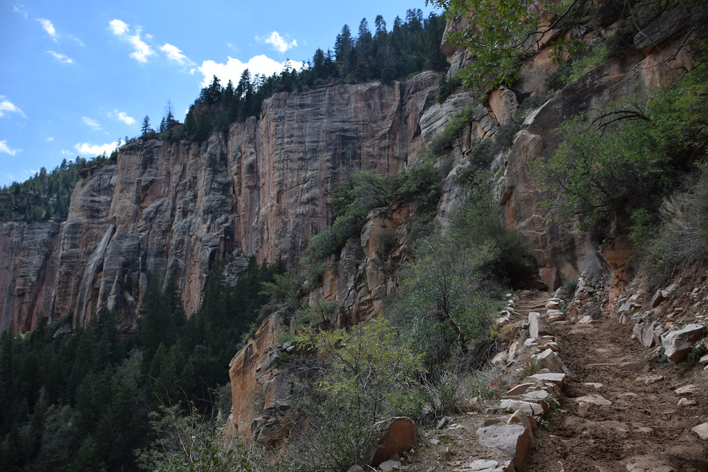 Grand Canyon North Rim 243