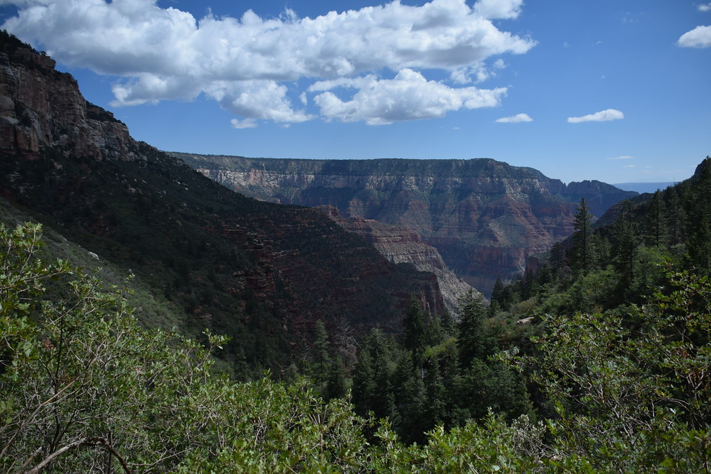 Grand Canyon North Rim 238