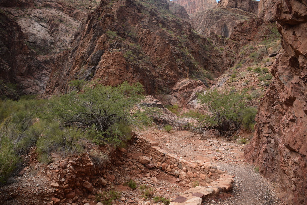 Grand Canyon Hike 281