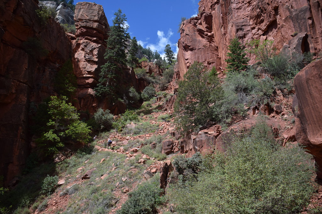 Grand Canyon North Rim 218