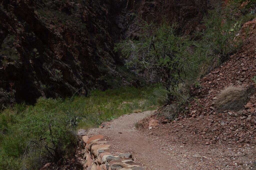 Grand Canyon Hike 017