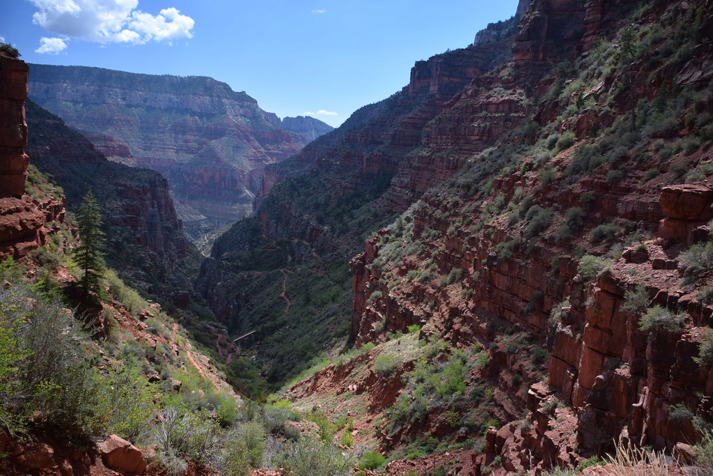 Grand Canyon North Rim 211