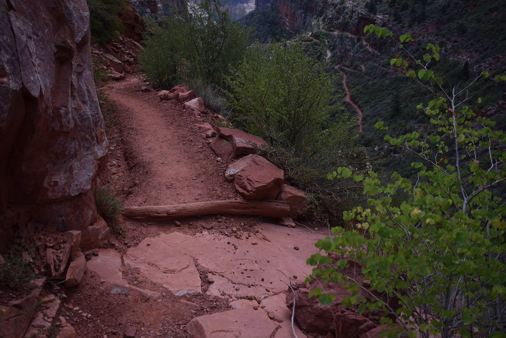 Grand Canyon North Rim 205