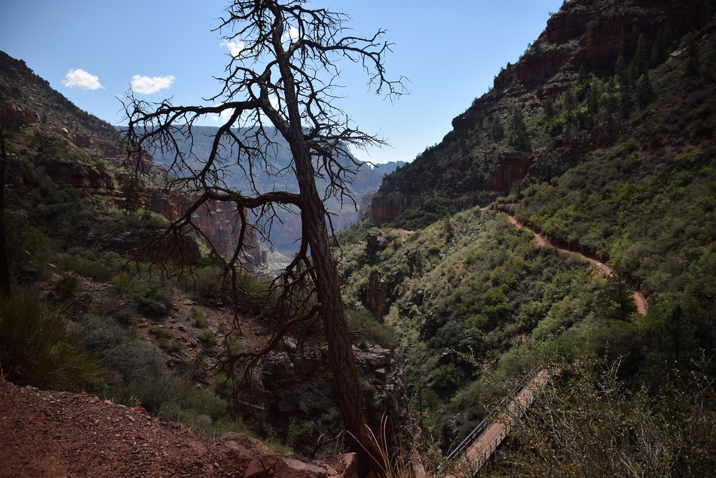 Grand Canyon North Rim 195