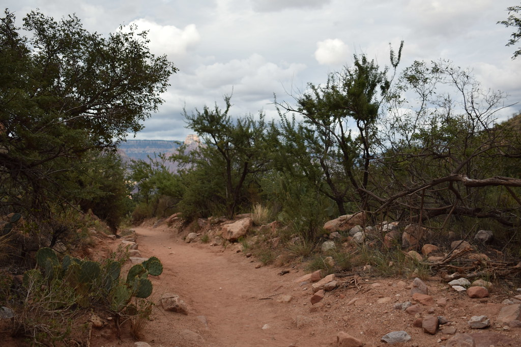 Grand Canyon Bright Angel Trail 301