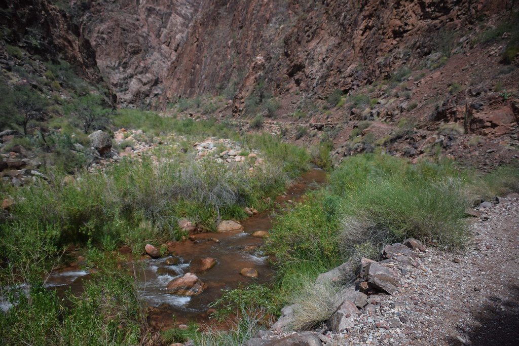 Grand Canyon Hike 216