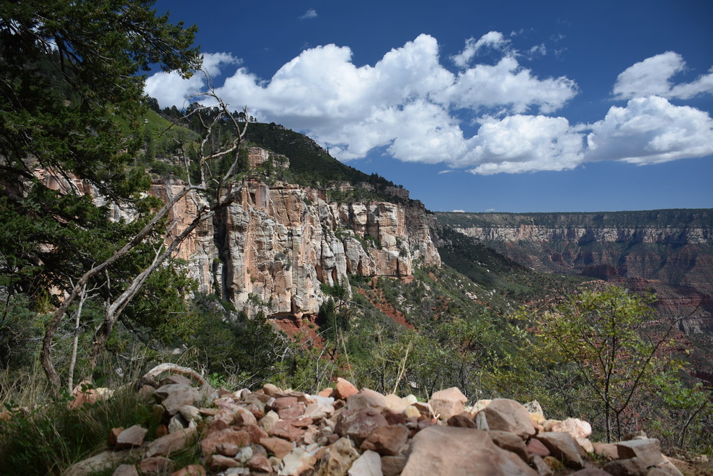 Grand Canyon North Rim 262