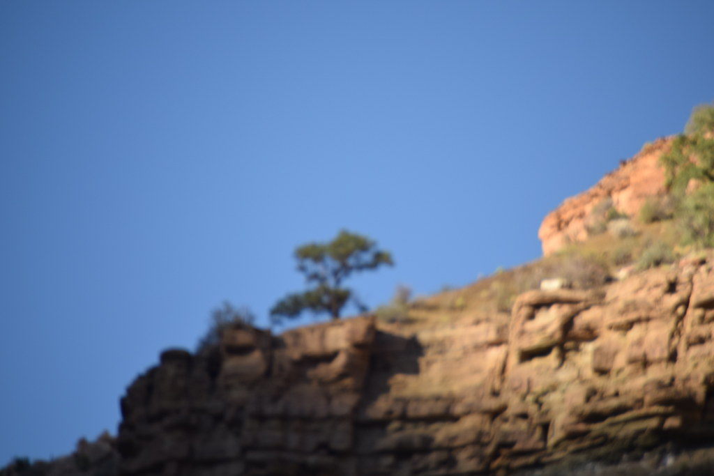 Grand Canyon North Rim 088