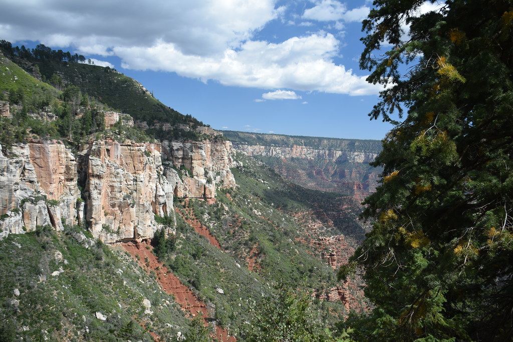 Grand Canyon North Rim 266