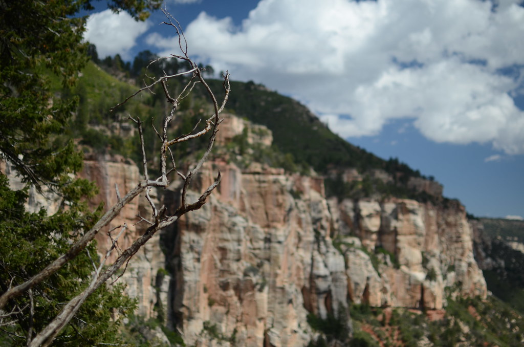 Grand Canyon North Rim 063