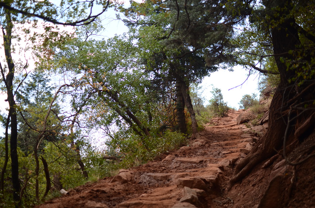 Grand Canyon North Rim 039