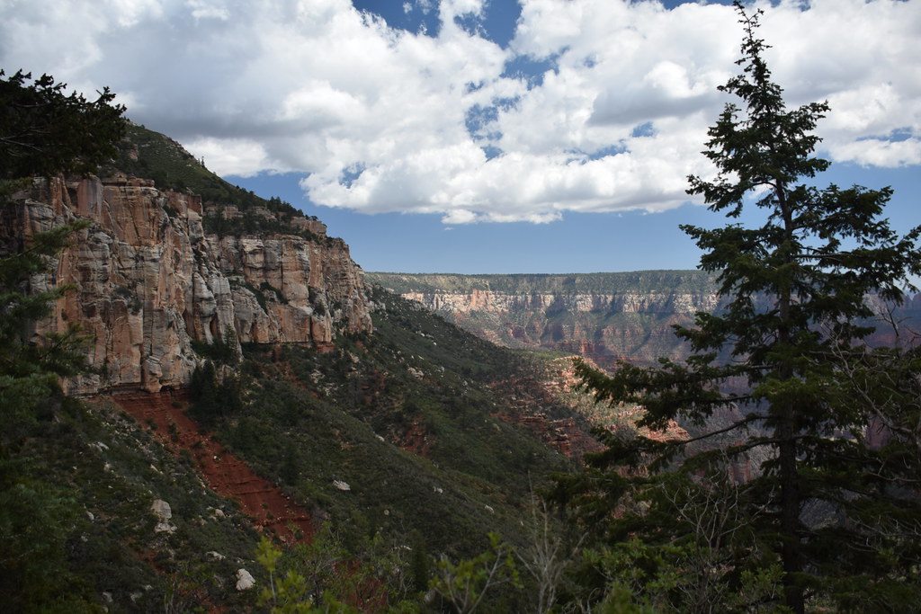 Grand Canyon North Rim 256