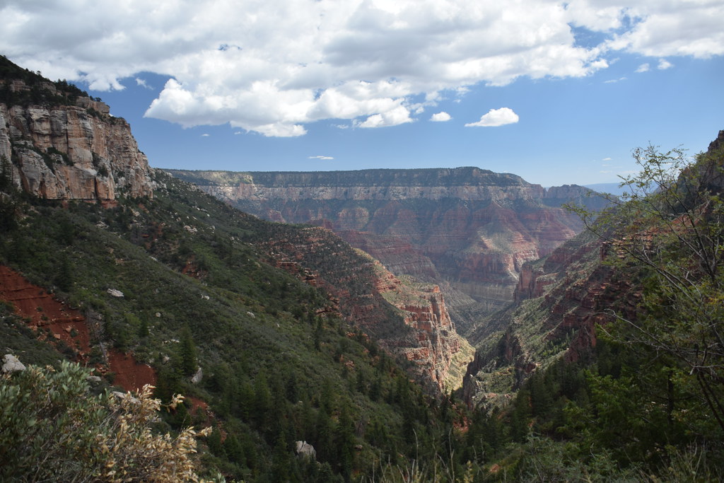 Grand Canyon North Rim 251