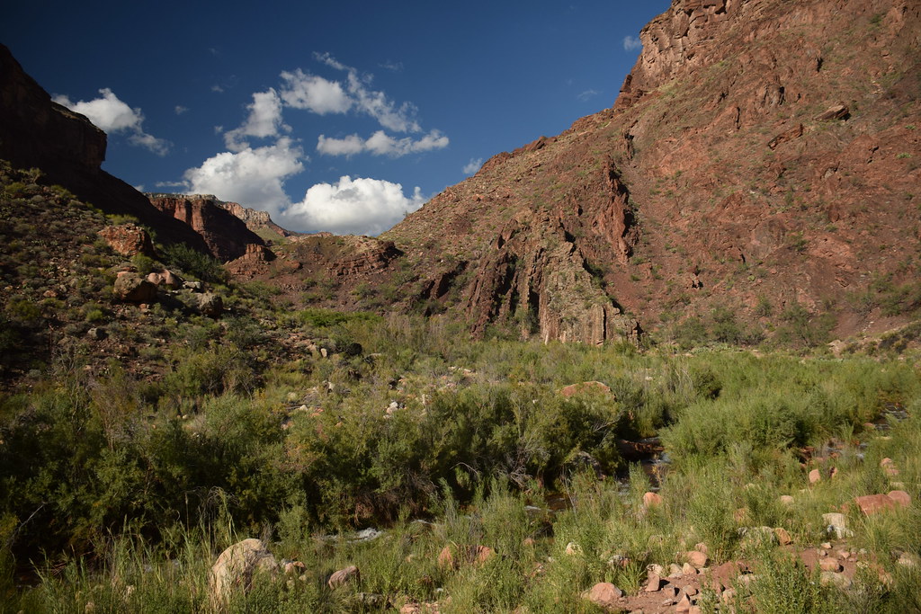 Grand Canyon Hike 333