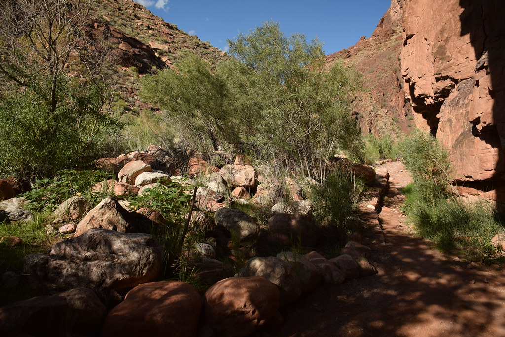 Grand Canyon Hike 330
