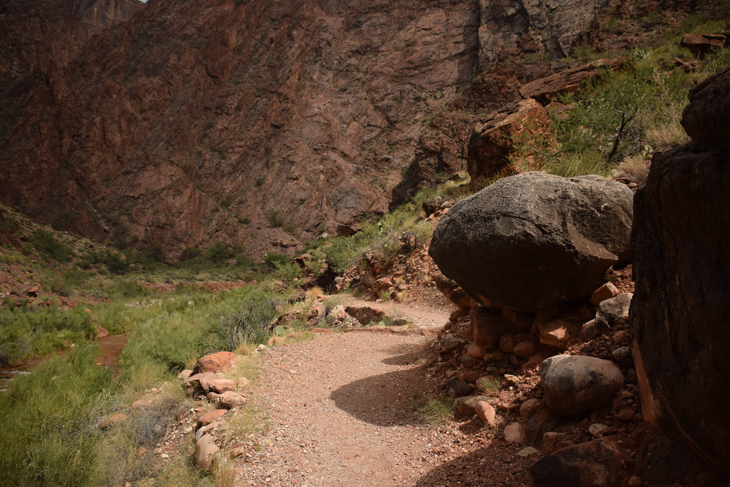 Grand Canyon Hike 262