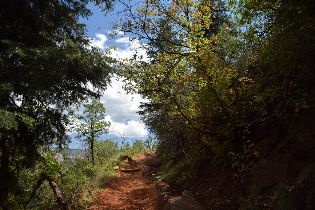 Grand Canyon North Rim 234
