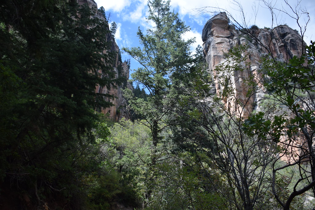 Grand Canyon North Rim 235