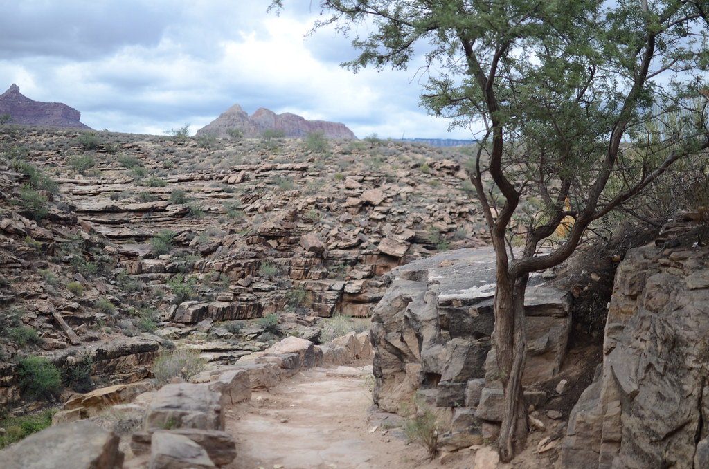 Grand Canyon Bright Angle Trail 085