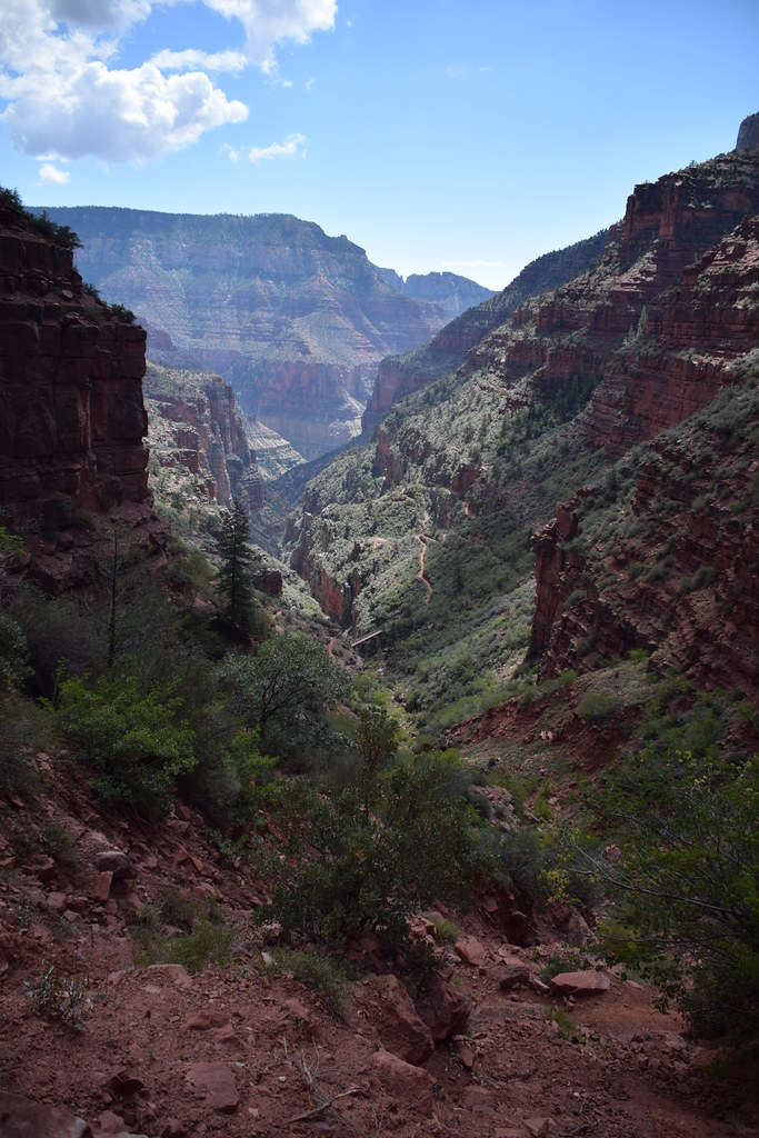 Grand Canyon North Rim 214