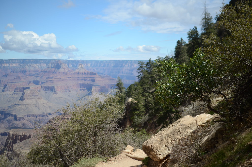 Grand Canyon Bright Angle Trail 010