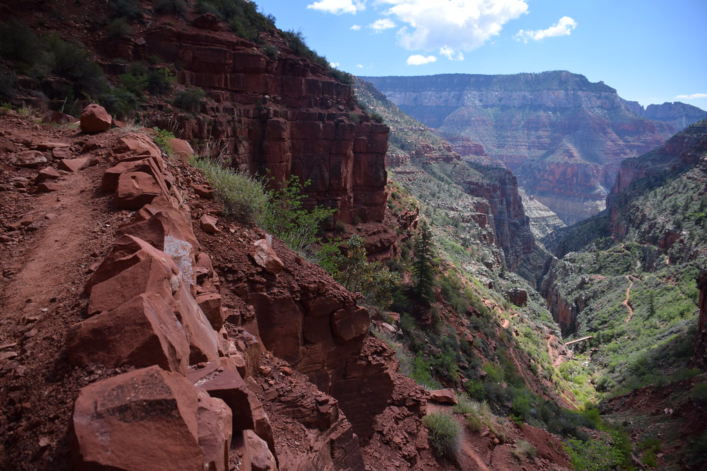 Grand Canyon North Rim 213