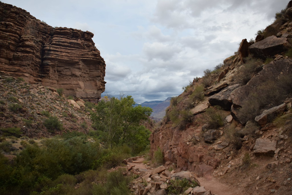 Grand Canyon Bright Angel Trail 341