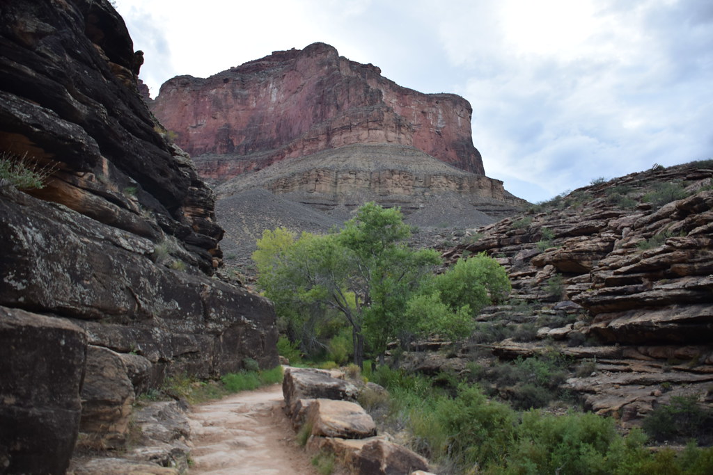 Grand Canyon Bright Angel Trail 326