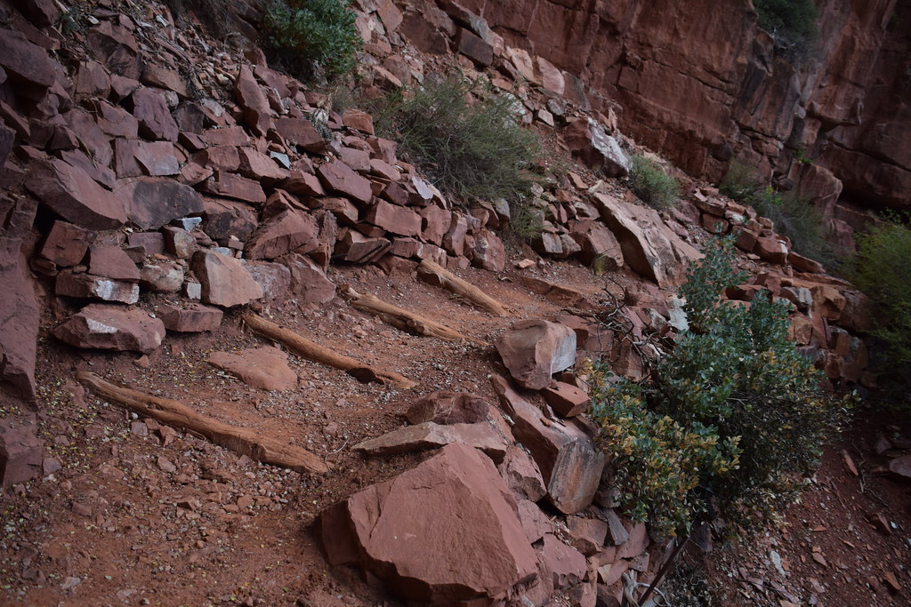 Grand Canyon North Rim 203