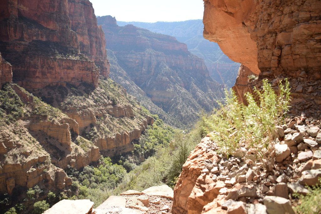 Grand Canyon North Rim 166