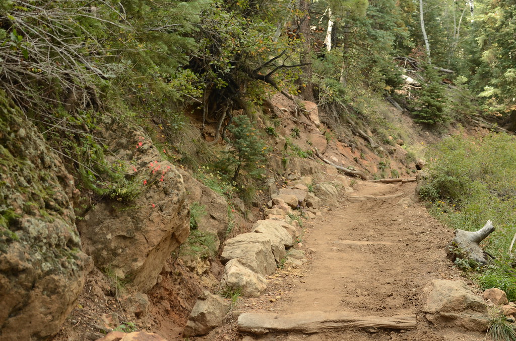 Grand Canyon North Rim 077