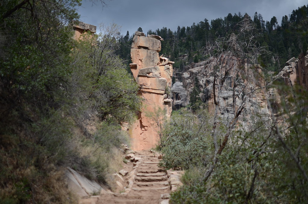 Grand Canyon North Rim 051