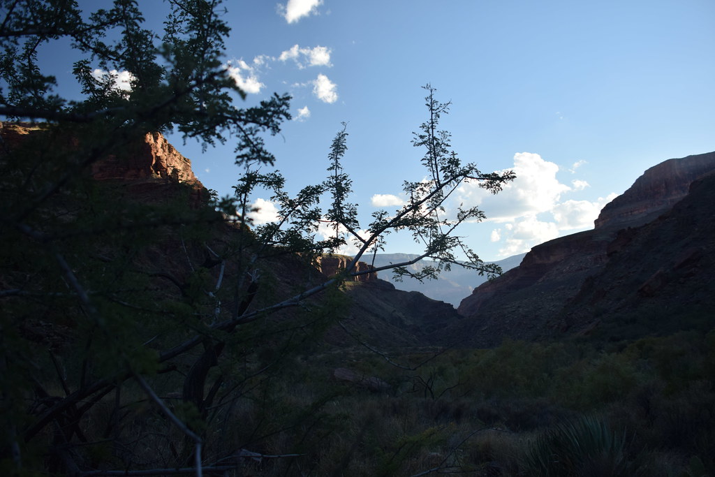 Grand Canyon Hike 352