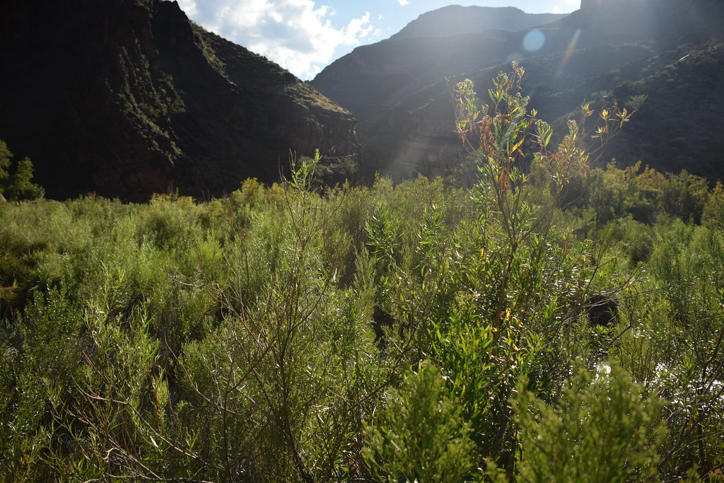 Grand Canyon Hike 337