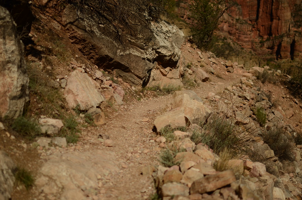 Grand Canyon North Rim 005