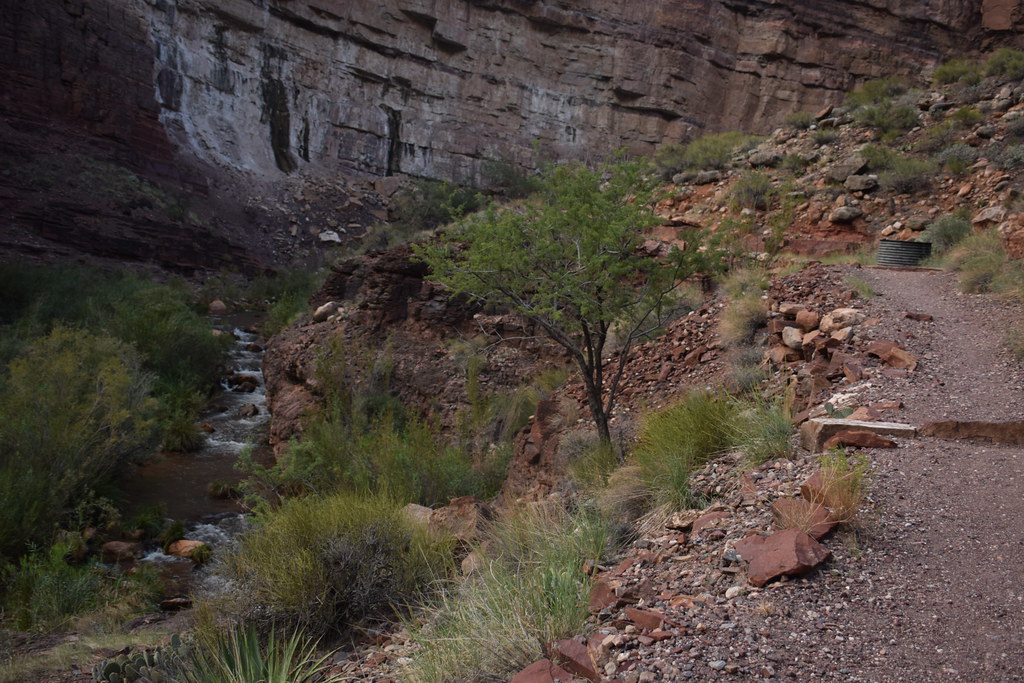 Grand Canyon Hike 319