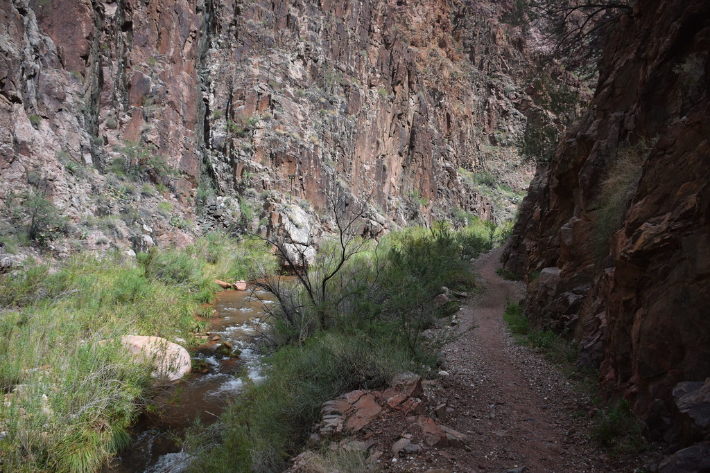 Grand Canyon Hike 220