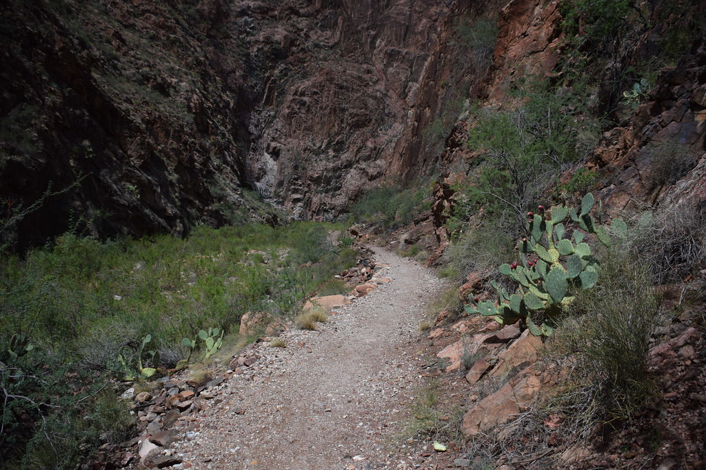 Grand Canyon Hike 218