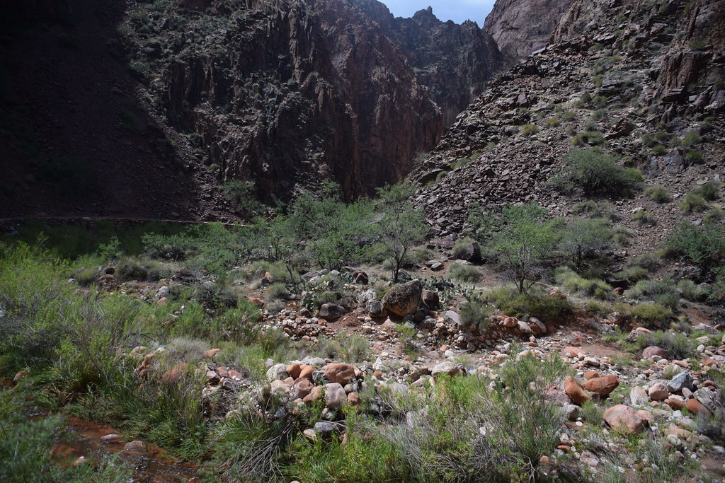Grand Canyon Hike 217