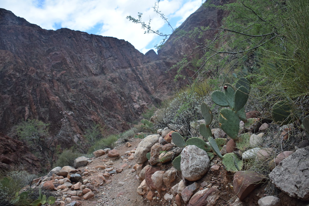 Grand Canyon Hike 167